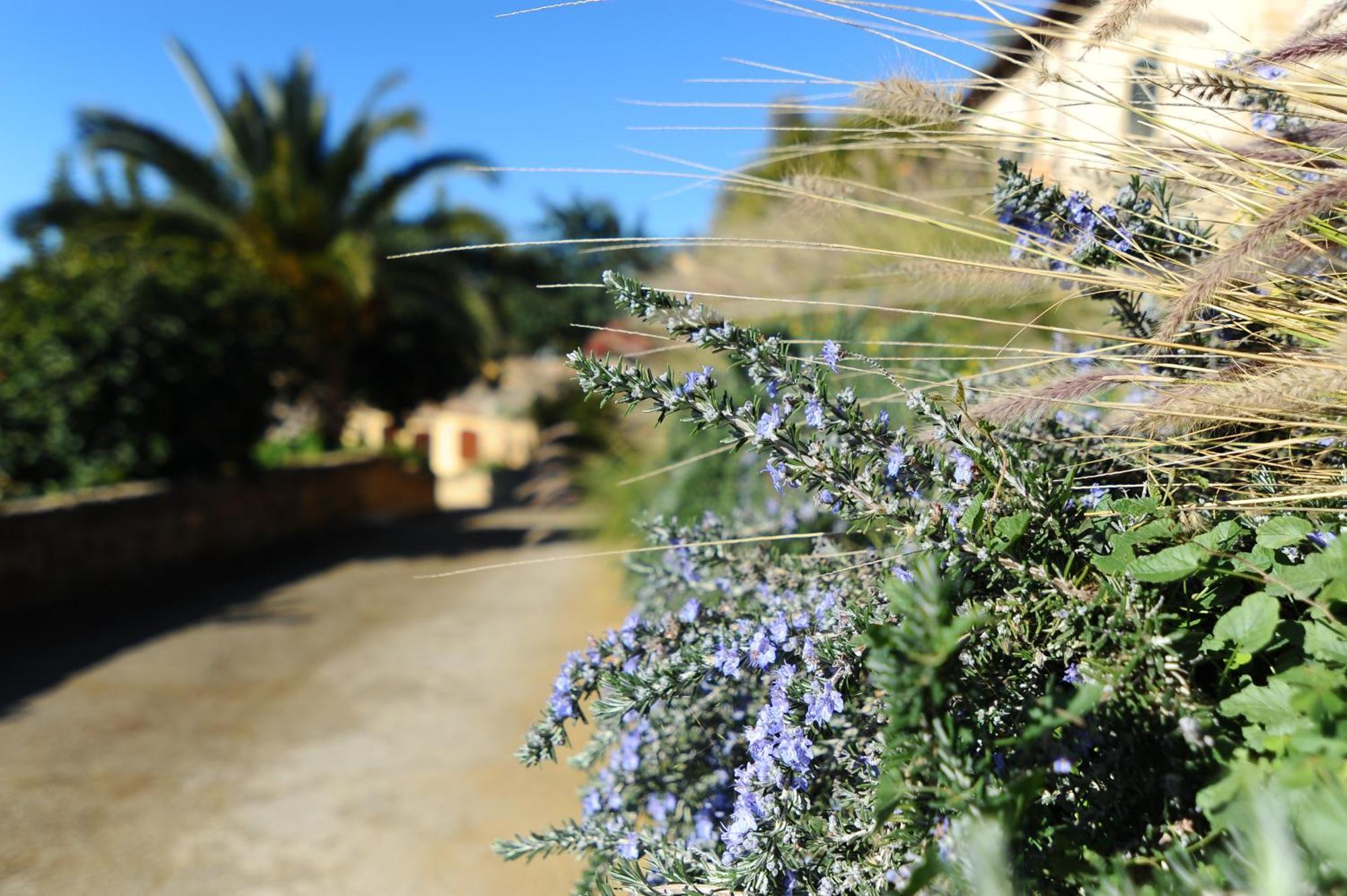 Villa La Lumia B&B Suites & Apartments Agrigente Extérieur photo